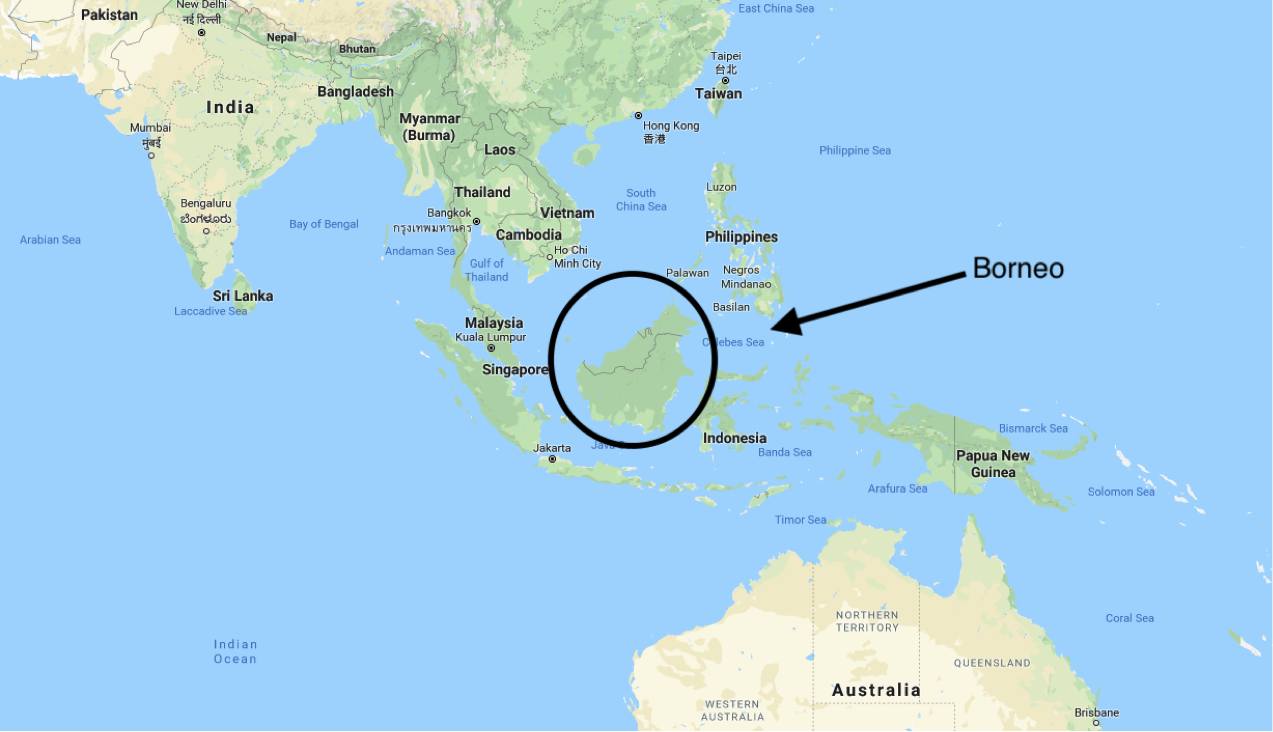 Borneo Destinations with Dee Luxe Journeys Where is Borneo Borneo Destinations with Dee Luxe Journeys Where is Borneo